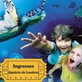 Ingresso para o Aquario de Londres